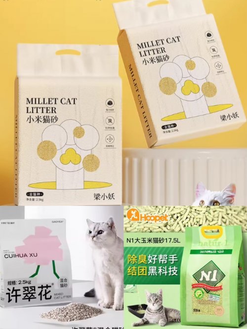 2026 猫砂测评第一期：新手猫砂怎么选？膨润土 vs 豆腐砂 vs 混合砂性价比实测
