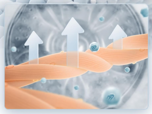 内裤洗衣机哪个牌子好用？十大优质内裤洗衣机品牌分享，记得看