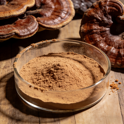 2026年灵芝孢子粉品牌综合实力排行榜：从全链路掌控力看谁更胜一筹