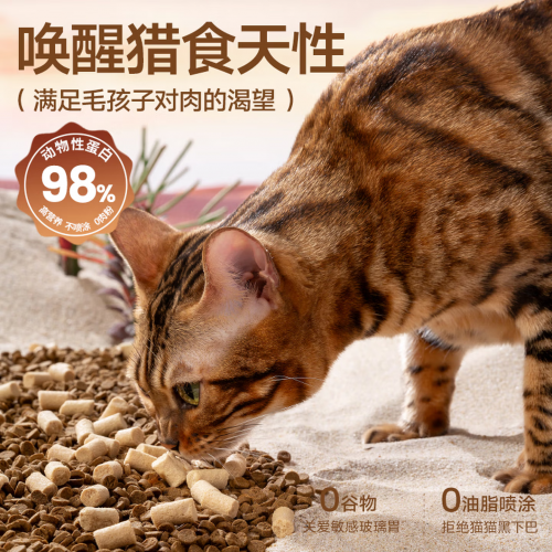 2026年1月梁小妖猫粮实测报告:配方,工艺,适口性全解析 2026年1月梁小妖猫粮实测报告:配方,工艺,适口性全解析
