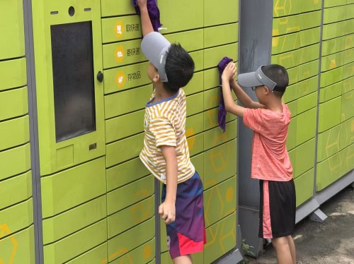 四季耕耘，家园焕新 ——来龙村“青禾绿行·德润家园”环境清理系列活动圆满收官