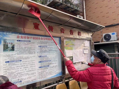 四季耕耘，家园焕新 ——来龙村“青禾绿行·德润家园”环境清理系列活动圆满收官