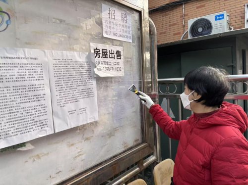 四季耕耘，家园焕新 ——来龙村“青禾绿行·德润家园”环境清理系列活动圆满收官