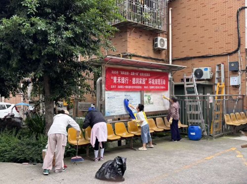 四季耕耘，家园焕新 ——来龙村“青禾绿行·德润家园”环境清理系列活动圆满收官