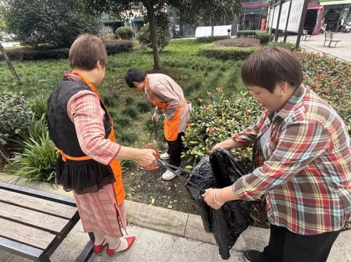 四季耕耘，家园焕新 ——来龙村“青禾绿行·德润家园”环境清理系列活动圆满收官