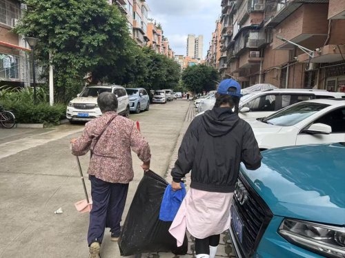 四季耕耘，家园焕新 ——来龙村“青禾绿行·德润家园”环境清理系列活动圆满收官