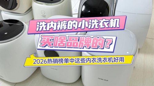 洗内裤的小洗衣机买啥品牌的?2026热销榜单中这些内衣洗衣机好用