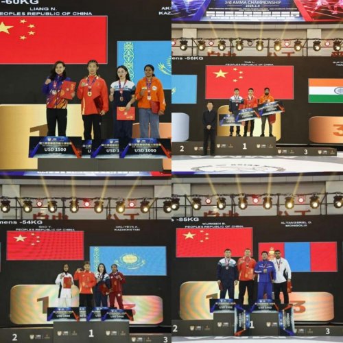 武道聚亚洲 热血耀泸州第三届亚洲综合格斗锦标赛圆满落幕