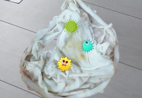 内衣清洗机哪个牌子好？不容错过的十大内衣清洗机牌子分享！新手小白千万别错过这篇！另附超详细科普~