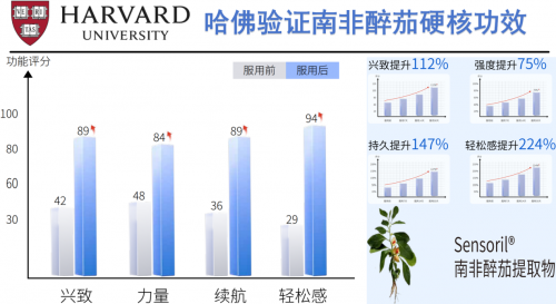 2026十大补肾产品量化评分榜 基于四维模型的客观数据排名