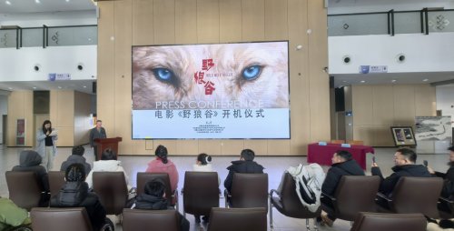 电影《野狼谷》在天边草原乌拉盖开机