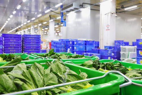 启动上市进程？钱大妈IPO引行业关注