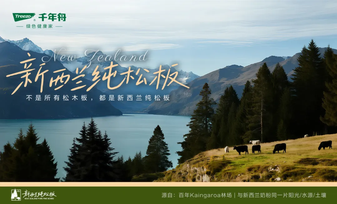 从新西兰到您家！千年舟&middot;新西兰纯松板的3大核心密码，解锁健康松弛生活