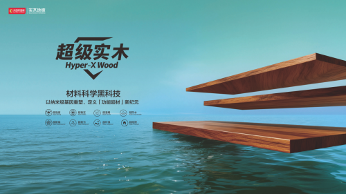 稳守狠攻·深耕网格·求实共生 2026年大自然家居全国经销商大会圆满举办