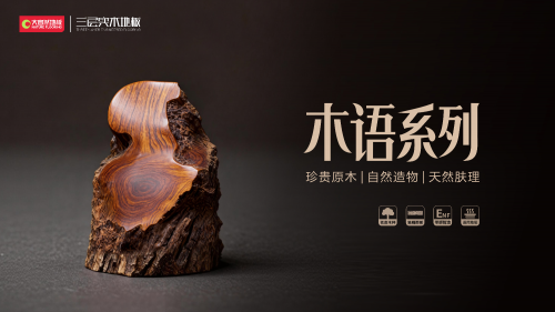 稳守狠攻·深耕网格·求实共生 2026年大自然家居全国经销商大会圆满举办