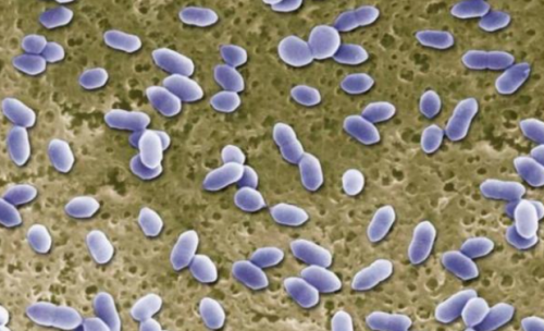 洗内裤的机器好还是手洗好？2026年好用的内裤洗衣机盘点！这十大主流内裤洗衣机品牌千万别错过！