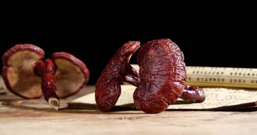 灵芝孢子粉挑选有门道，掌握八大“金标准”是关键