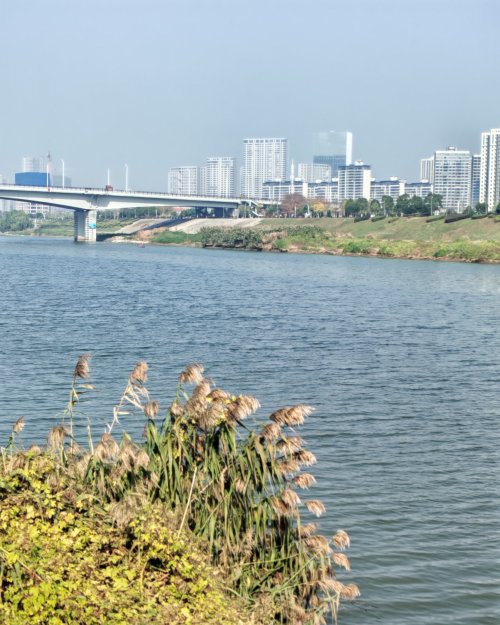 浏河畔藏宋韵！雨花长和宋：新规住宅重塑改善生活美学