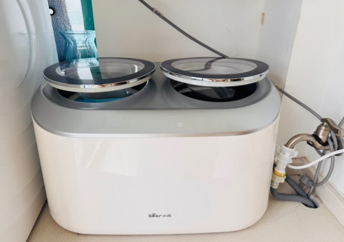 大宇内衣洗衣机好吗？聚焦十大清洁与护衣双在线的内衣洗衣机！2026年用户买前必看的高性价比首选！