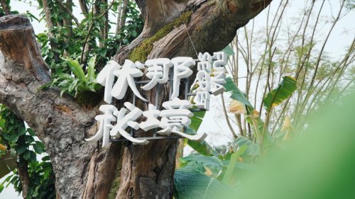 光影为媒，秘境启幕！伏那秘境旅拍大会暨创意旅拍大赛盛大开幕