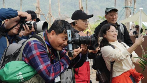 光影为媒，秘境启幕！伏那秘境旅拍大会暨创意旅拍大赛盛大开幕
