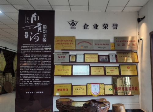 黔山硒叶践真知,电商助力茶业兴(图2) 黔山硒叶践真知,电商助力茶业兴(图2)