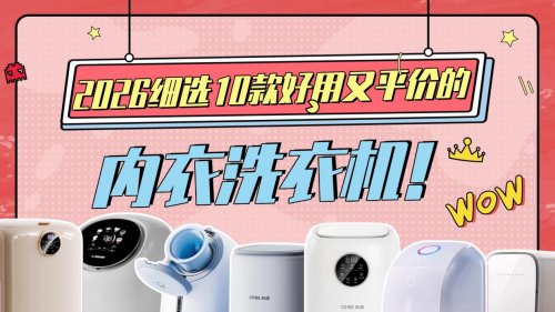 内衣跟内裤可以一起洗吗？内衣洗衣机哪个牌子性价比高？2026细选10款好用又平价的内衣洗衣机！