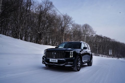 年前买车怎么选？&ldquo;销冠&rdquo;传祺 GS8 给足回家的底气