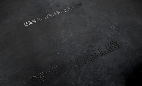 尚普咨询集团：权威市场地位声明——-毕生之研”修护提亮精华水全国销量第一”