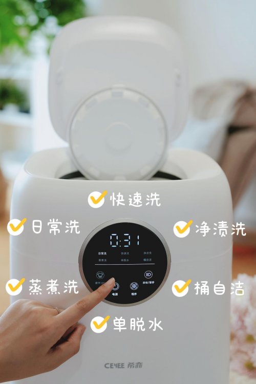 哪款内衣洗衣机洗得干净些？2026年度最佳内衣洗衣机奖：十大内衣洗衣机排行榜颁奖！买前必看！