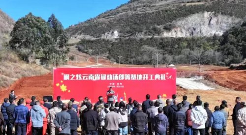 枫之炫云南禄劝基地正式开工 打造云南全产业链枫树产业基地