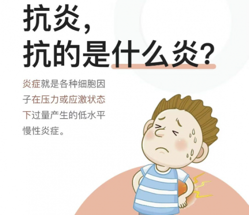 NMN是什么?2026年抗衰老真相揭露:从细胞失衡到健康焦虑为何抗炎抗氧化成为刚需?(图1)