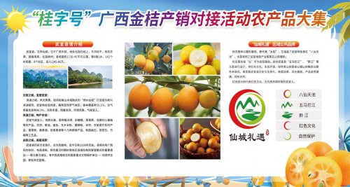 武宣县“仙城礼遇”优质农特产品亮相2023年“桂字号”产销对接活动