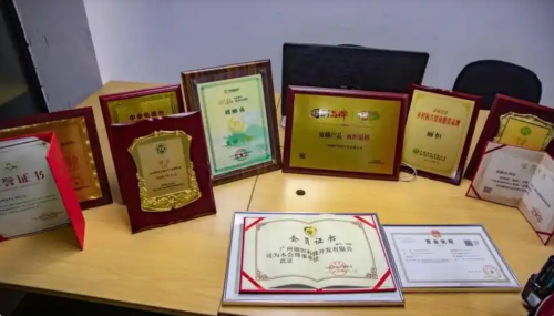 巾帼兴农志 硕果耀强国|刘丽贞:一位女企业家的农业强国担当