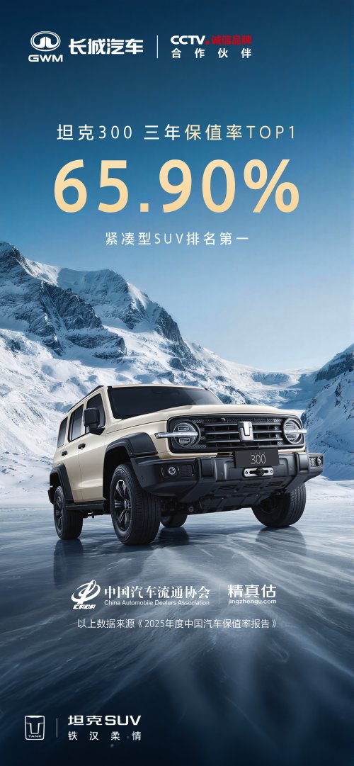 小品类挑战大赛道 解构坦克品牌保值率背后的产品逻辑第1张-中国汽车动态网 小品类挑战大赛道 解构坦克品牌保值率背后的产品逻辑第1张