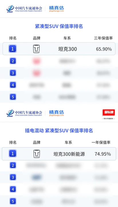小品类挑战大赛道 解构坦克品牌保值率背后的产品逻辑第2张-中国汽车动态网 小品类挑战大赛道 解构坦克品牌保值率背后的产品逻辑第2张