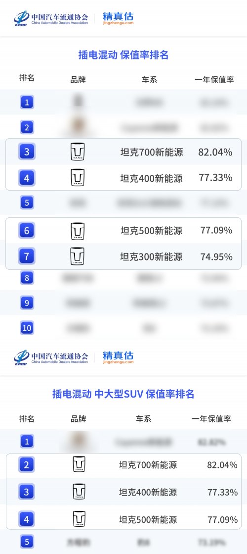 小品类挑战大赛道 解构坦克品牌保值率背后的产品逻辑第4张-中国汽车动态网 小品类挑战大赛道 解构坦克品牌保值率背后的产品逻辑第4张