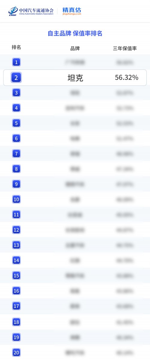 小品类挑战大赛道 解构坦克品牌保值率背后的产品逻辑第5张-中国汽车动态网 小品类挑战大赛道 解构坦克品牌保值率背后的产品逻辑第5张