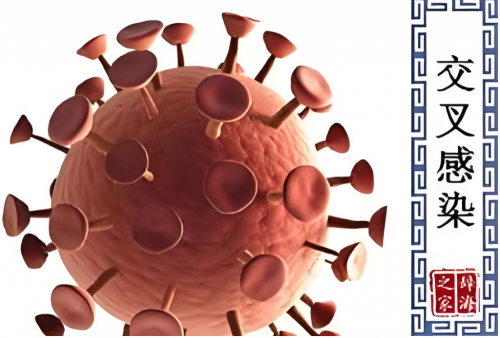 全自动小型洗衣机哪个性价比高？清洁好的全自动小型洗衣机排行榜前十名揭晓！清洁力强，不伤衣物~