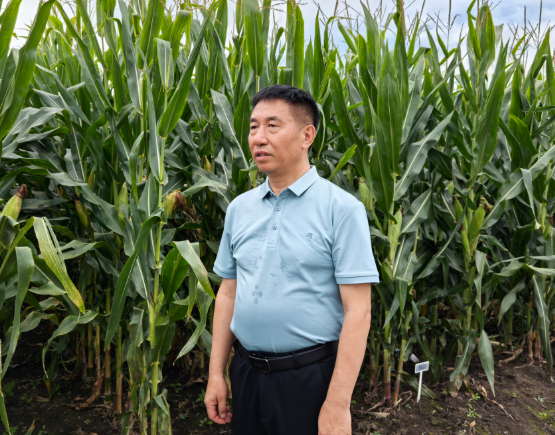 农业科技的践行者,王振华与同行们的耕耘之路