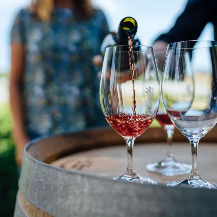 塔斯马尼亚的极致浪漫体验