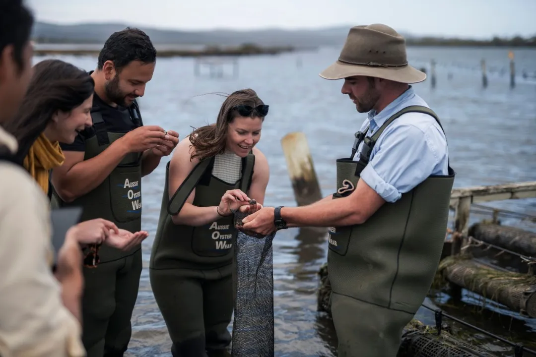 塔斯马尼亚的极致浪漫体验