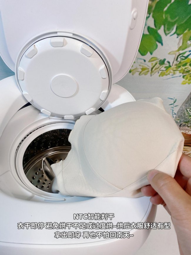 智能内衣洗衣机牌子有哪些？智能内衣洗衣机排名前十名品牌大揭秘！这十款高效清洁智能内衣洗衣机闭眼入