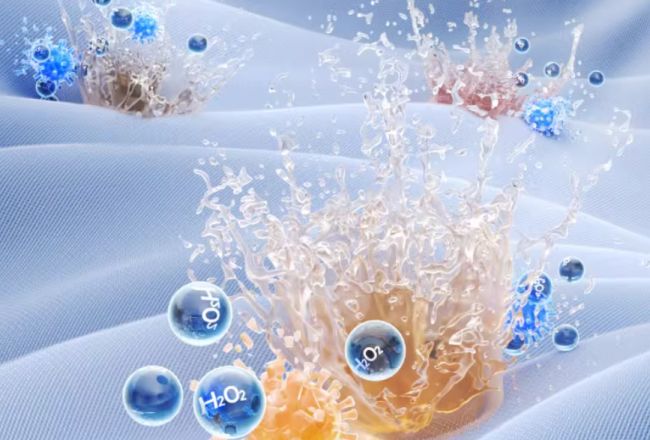 自动洗内裤机实用不？盘点2026年最实用的十大自动洗内裤机品牌，排行榜10大自动洗内裤机帮你理清思路