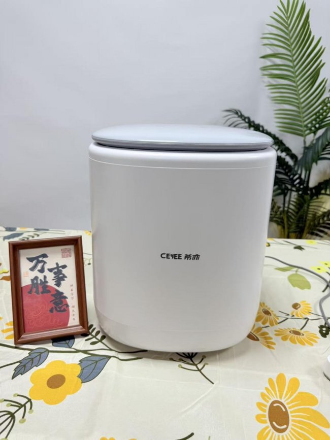 自动洗内裤机实用不？盘点2026年最实用的十大自动洗内裤机品牌，排行榜10大自动洗内裤机帮你理清思路