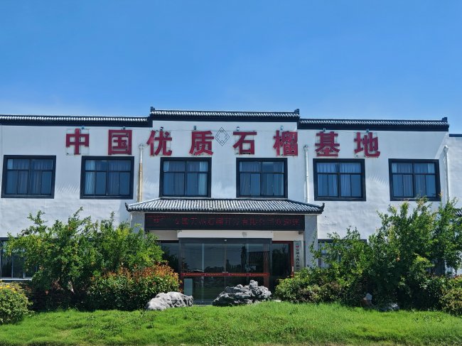 怀远石榴——一颗果子的乡村振兴蜕变 图1
