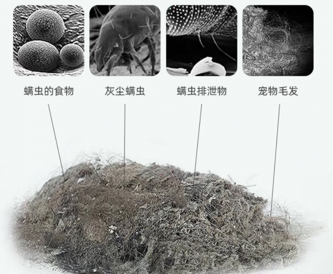 床上除螨除尘器哪个牌子好用？除螨仪有用吗有效果吗？床上除螨仪品牌排行榜前十名，选购指南！
