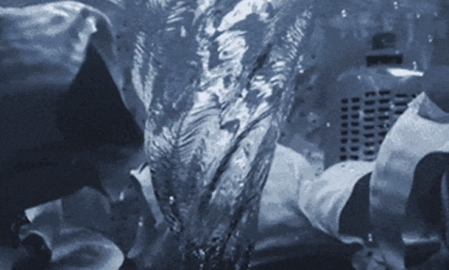 内裤机有用吗？2026年度最佳内裤机品牌揭秘！闭眼入都不踩坑的十大内裤机品牌，清洁力超强！