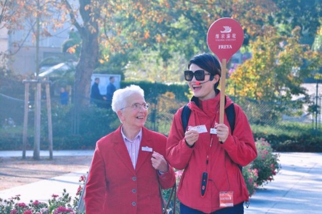 老年人欧洲旅游行程推荐：维京河轮解锁慢享时光