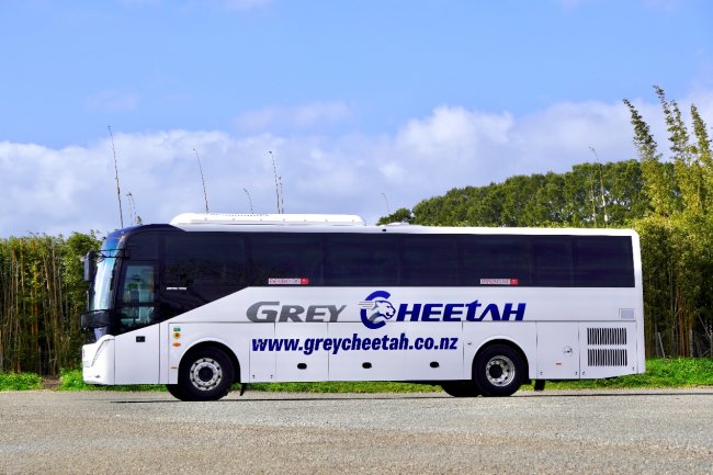 出境游新趋势观察：非自驾自由行正在走红，Grey Cheetah拓展中国游客新西兰出行选择